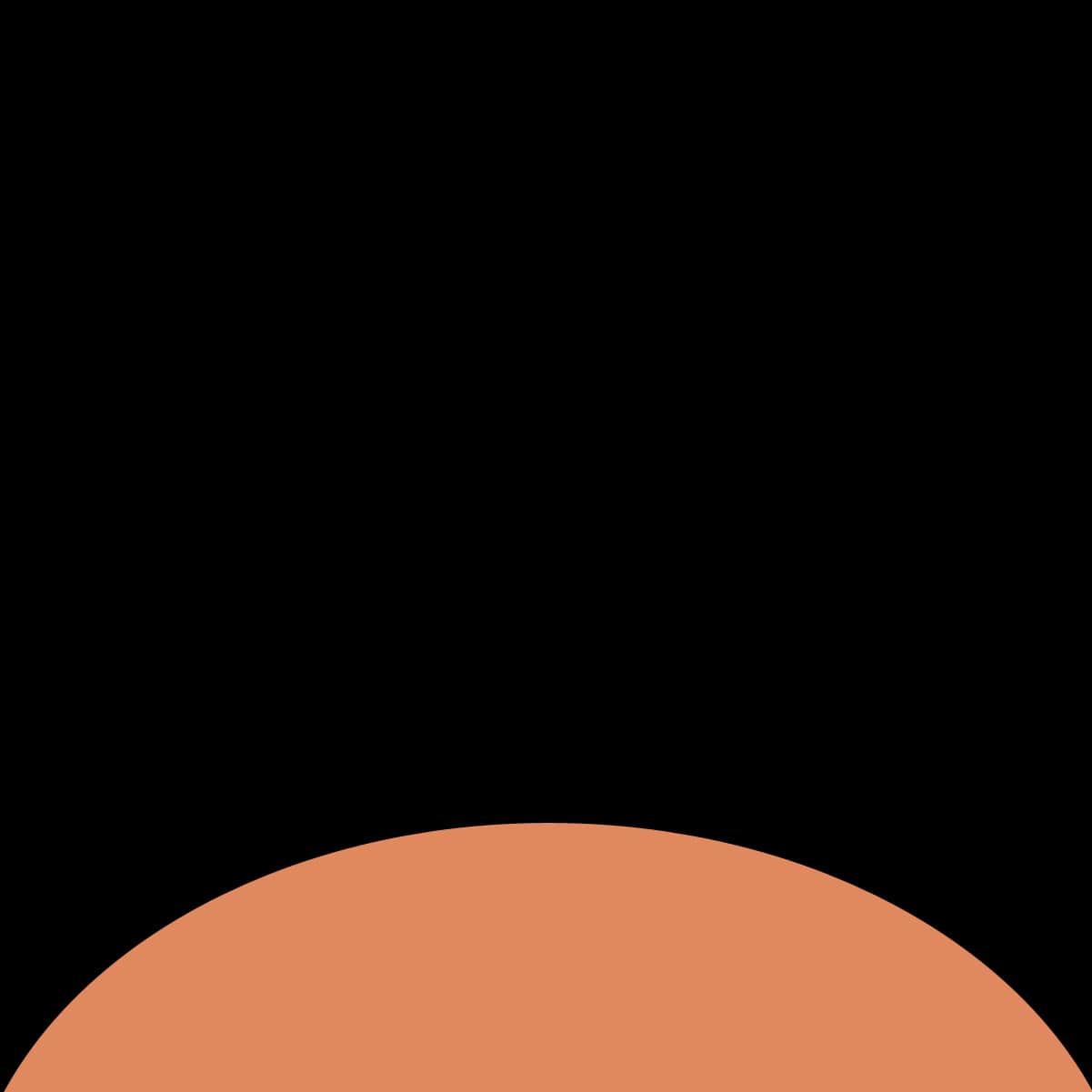 Schwarz - Orange